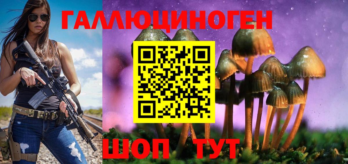 Галлюциногенные грибы мицелий  Вход с VPN  Кушва 